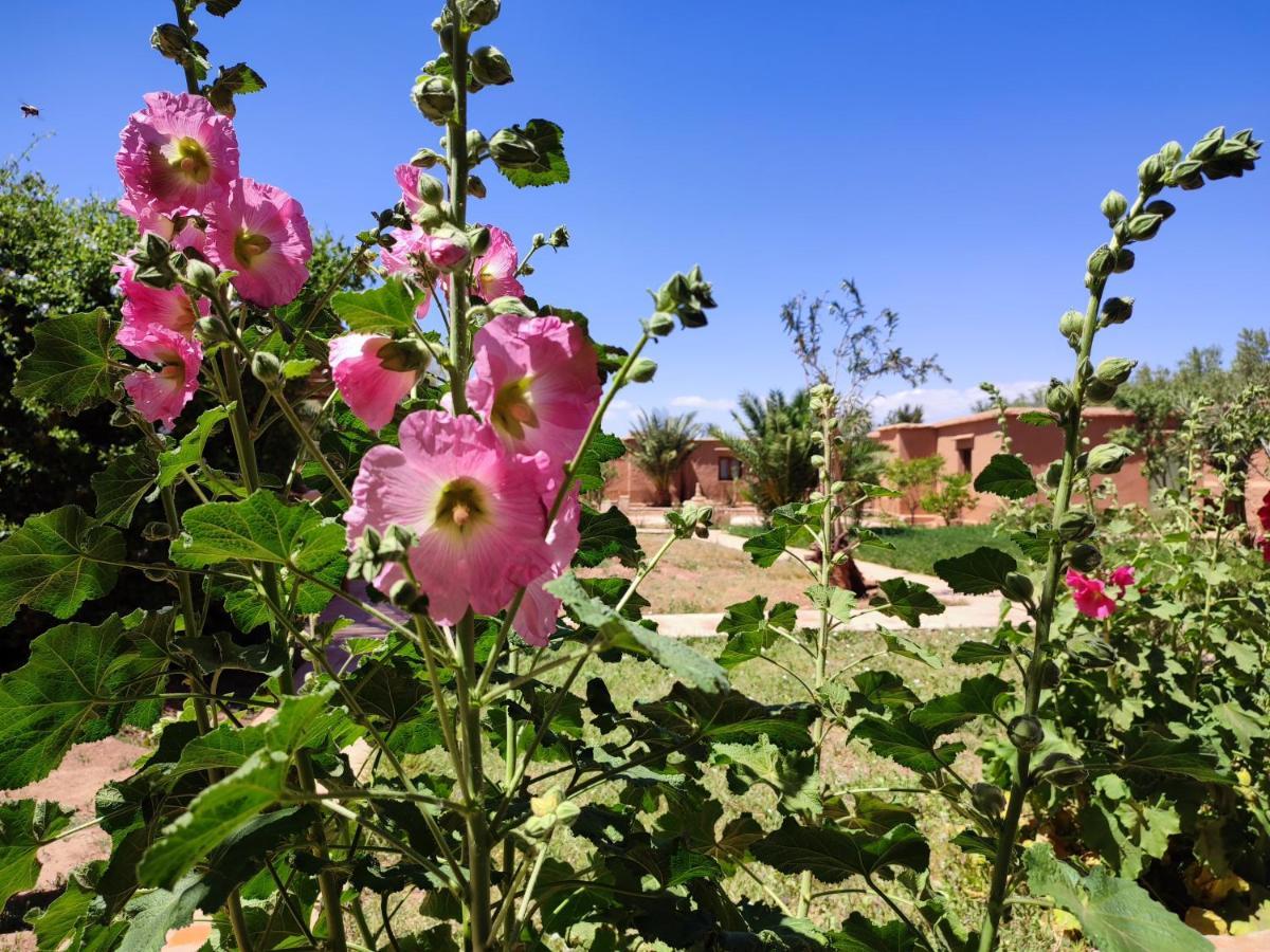 Maison D'Hotes Tigminou - Adults Only Aït Benhaddou Exterior photo